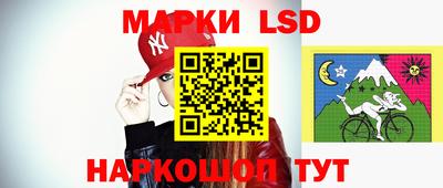 mdpv Ярославль