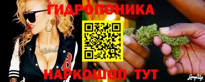 mdpv Ярославль
