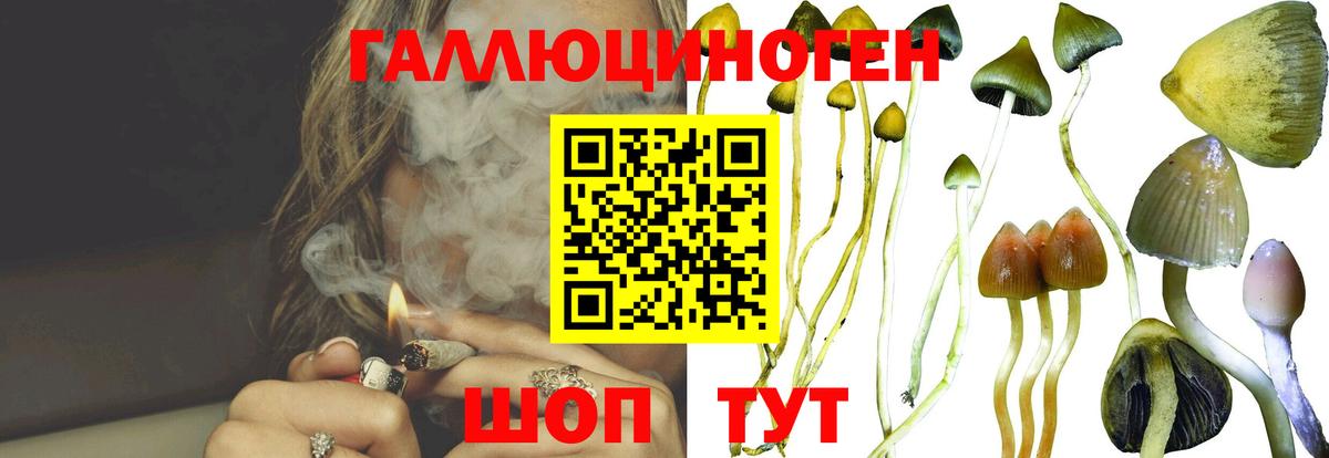 Галлюциногенные грибы мухоморы  Вход с VPN  Учалы 